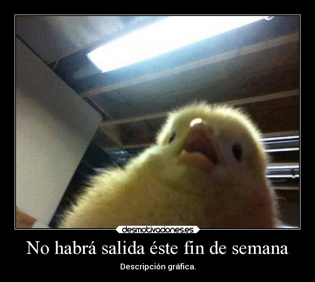 No habrá salida éste fin de semana -