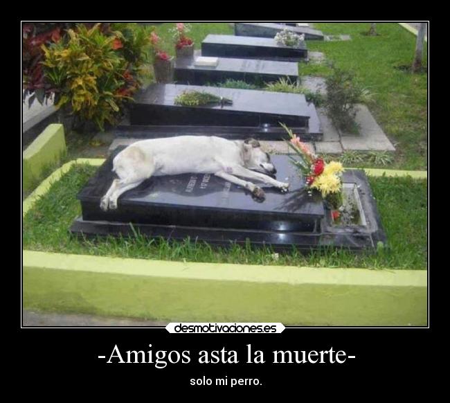 carteles desmotivaciones desmotivaciones