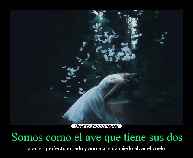 carteles desmotivaciones desmotivaciones