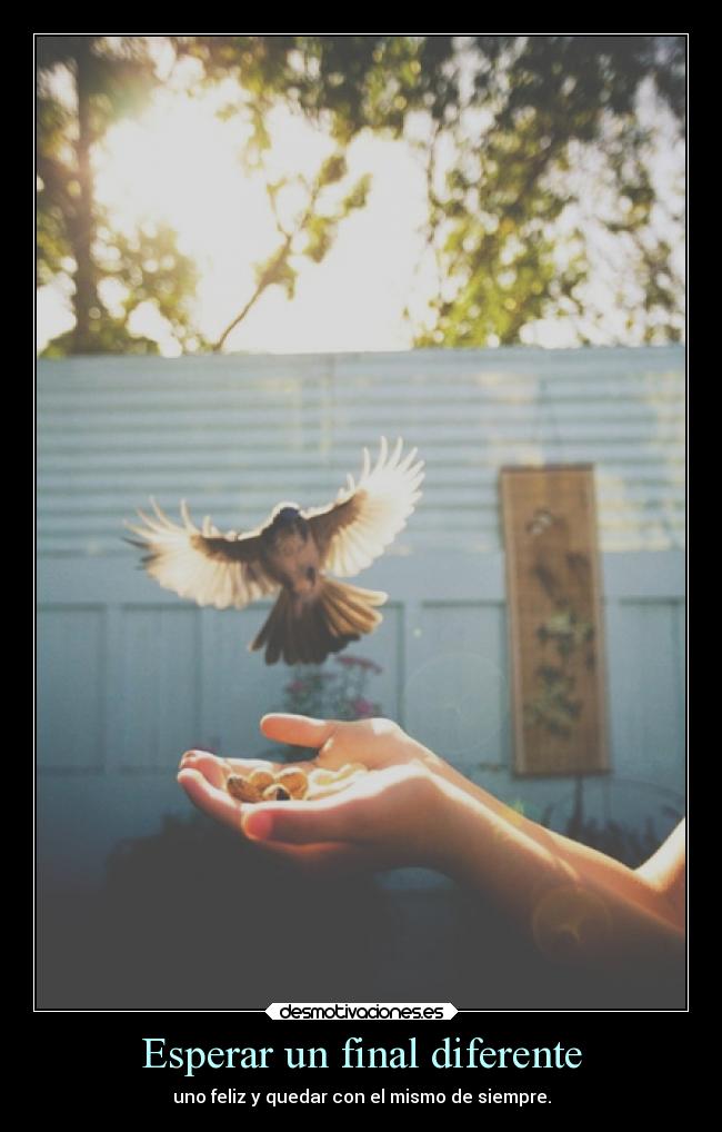 carteles desmotivaciones desmotivaciones