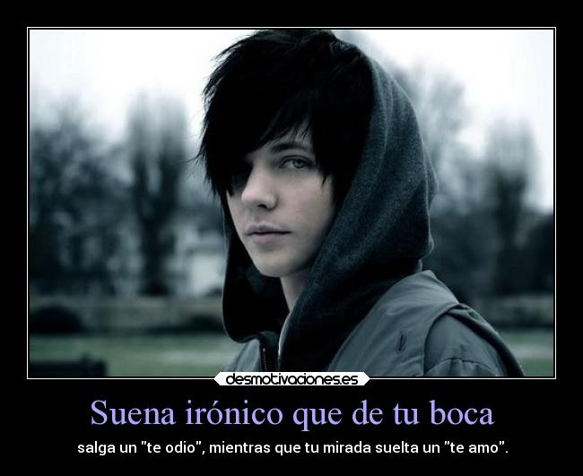 carteles desmotivaciones directionerloveforever desmotivaciones