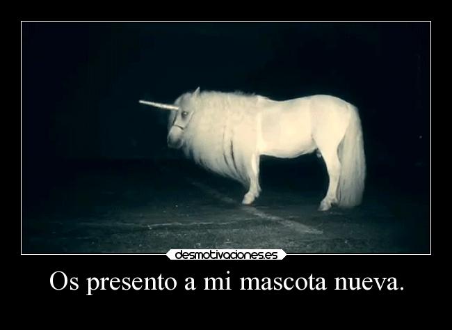 Os presento a mi mascota nueva. -