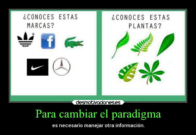 Para cambiar el paradigma - 