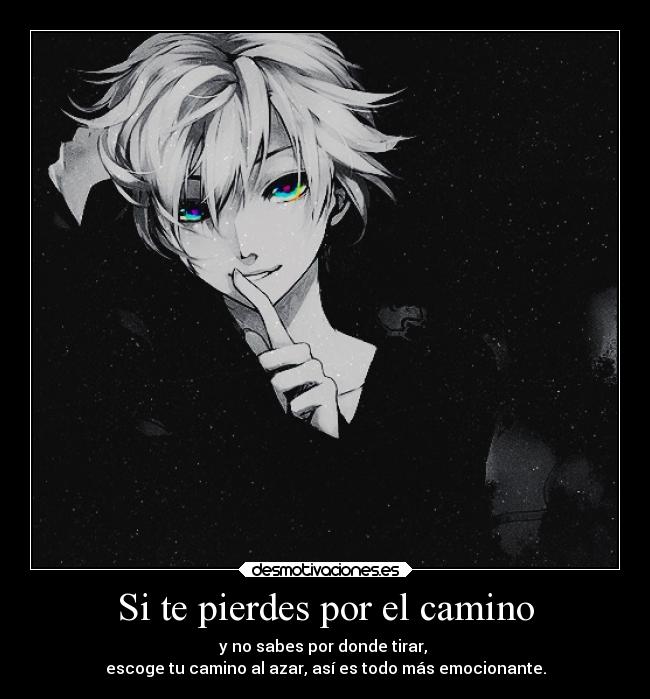 Si te pierdes por el camino - 