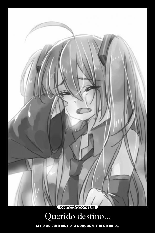 Querido destino... - 