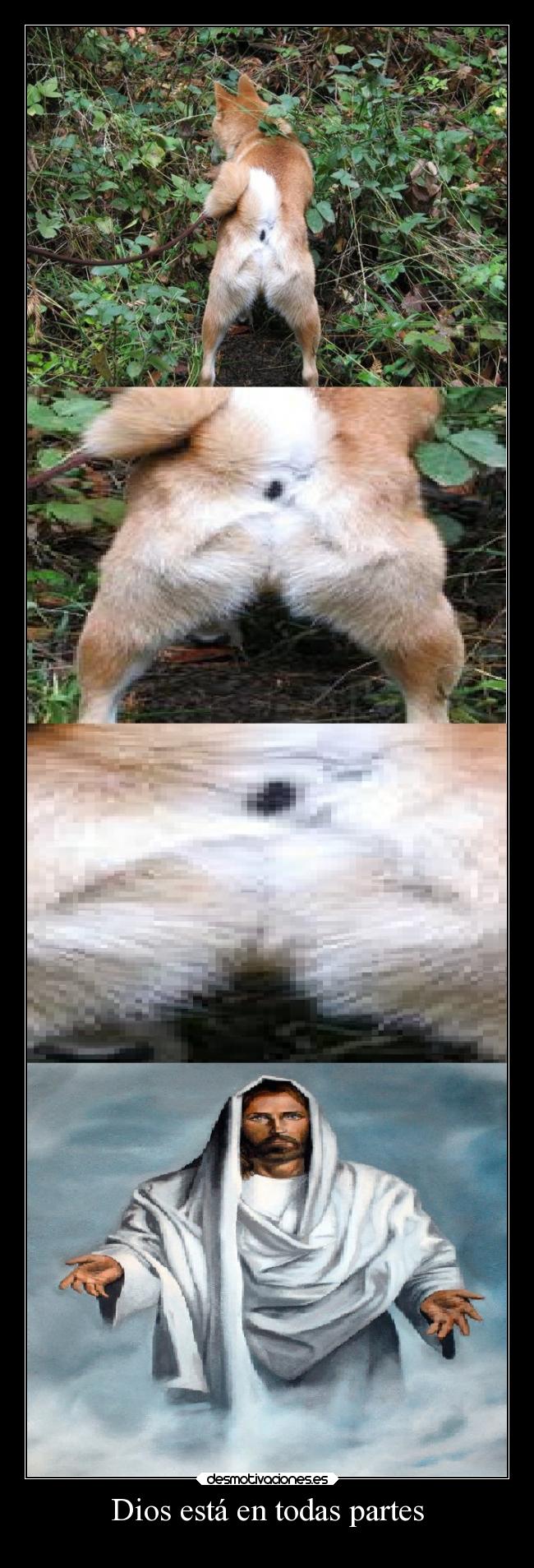 carteles dios animales tetas dios normalman drnormalman esta estan todas partes desmotivaciones