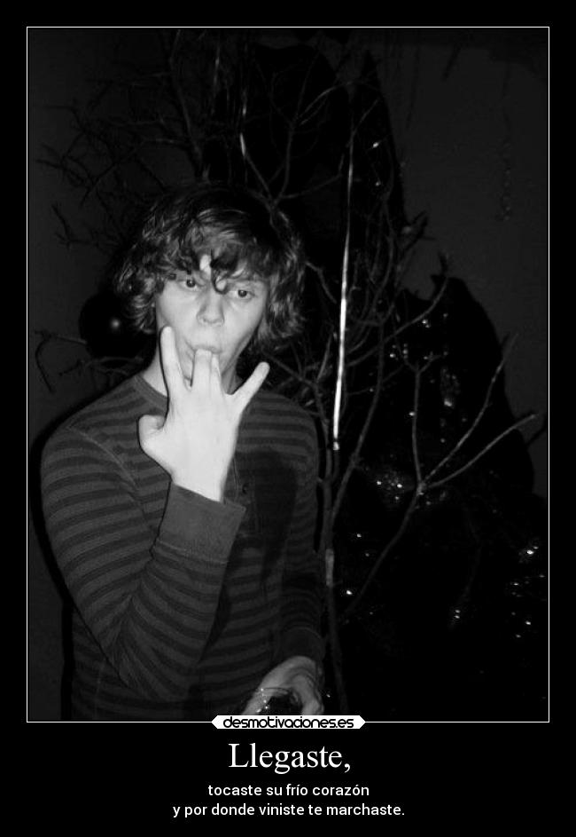 Llegaste, -