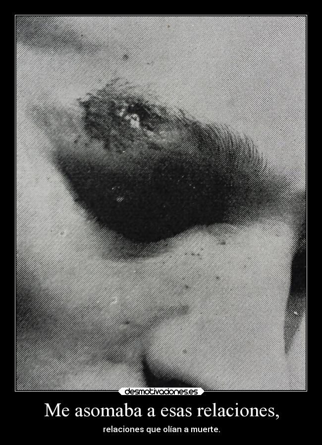 carteles dolor carolf27 myblackandwhiteworld imthevoiceinsideyourheadyourefusetohear desmotivaciones