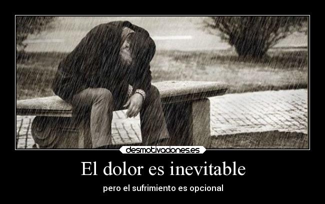 carteles dolor dolor sociedad desmotivaciones