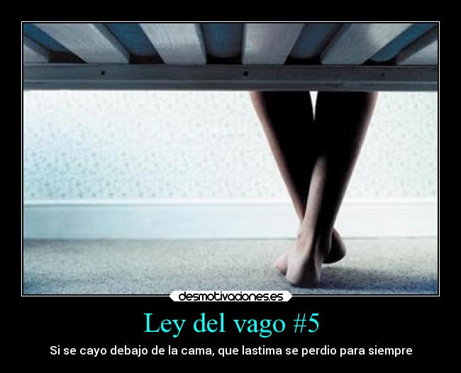 Ley del vago #5 - Si se cayo debajo de la cama, que lastima se perdio para siempre