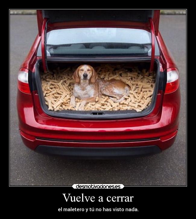 Vuelve a cerrar - el maletero y tú no has visto nada.