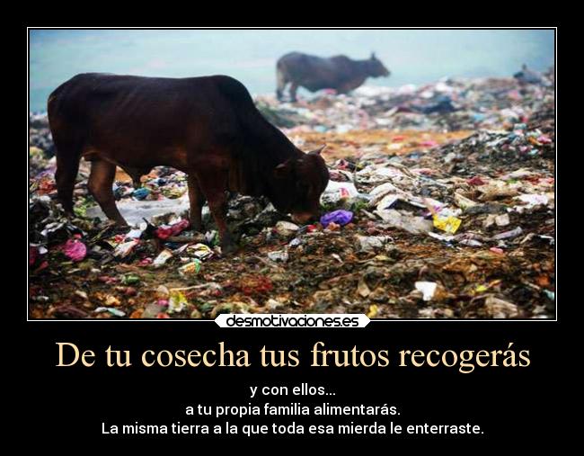 De tu cosecha tus frutos recogerás - y con ellos...
a tu propia familia alimentarás.
La misma tierra a la que toda esa mierda le enterraste.