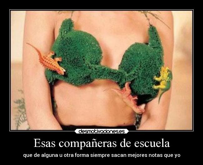 Esas compañeras de escuela - que de alguna u otra forma siempre sacan mejores notas que yo