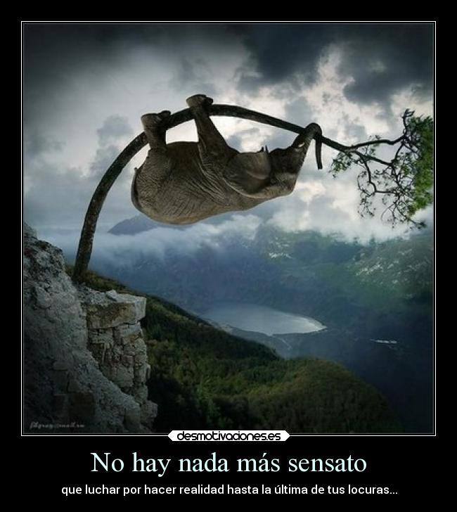 No hay nada más sensato - que luchar por hacer realidad hasta la última de tus locuras...