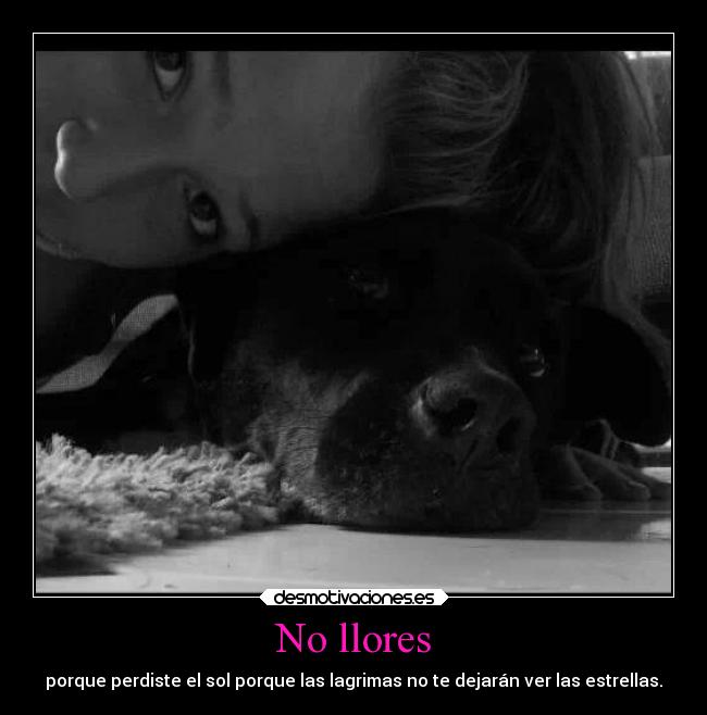 No llores - porque perdiste el sol porque las lagrimas no te dejarán ver las estrellas.