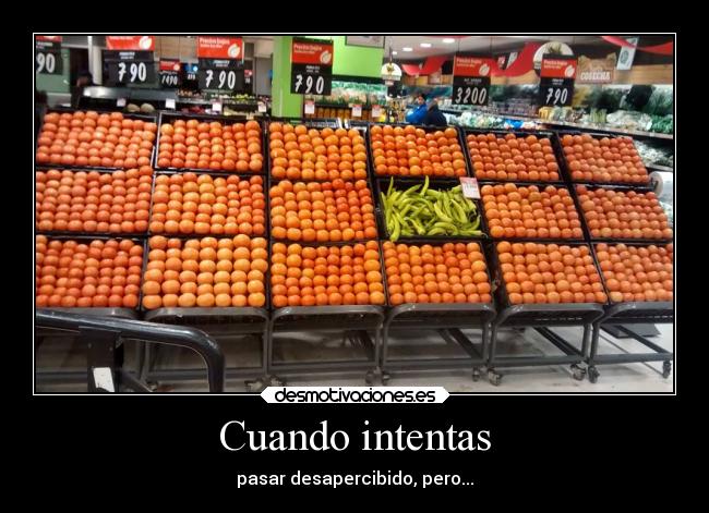 Cuando intentas -