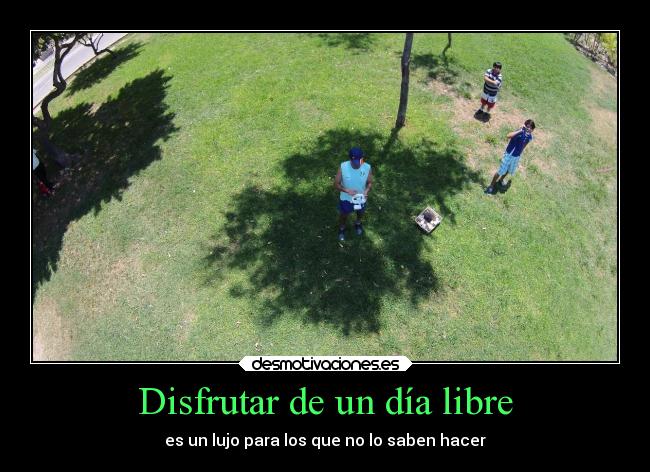 carteles familia ayuda desmotivaciones