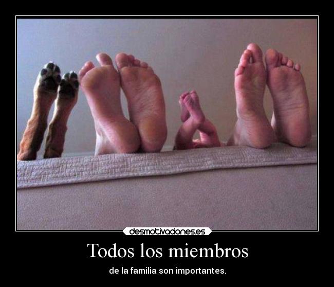 carteles familia humor mascotas breathebreathe desmotivaciones