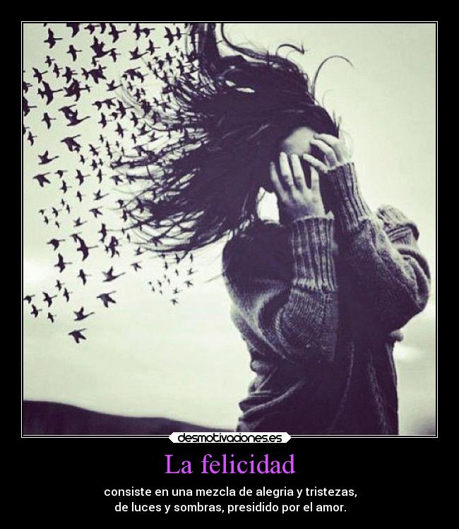 La felicidad - consiste en una mezcla de alegria y tristezas,
de luces y sombras, presidido por el amor.