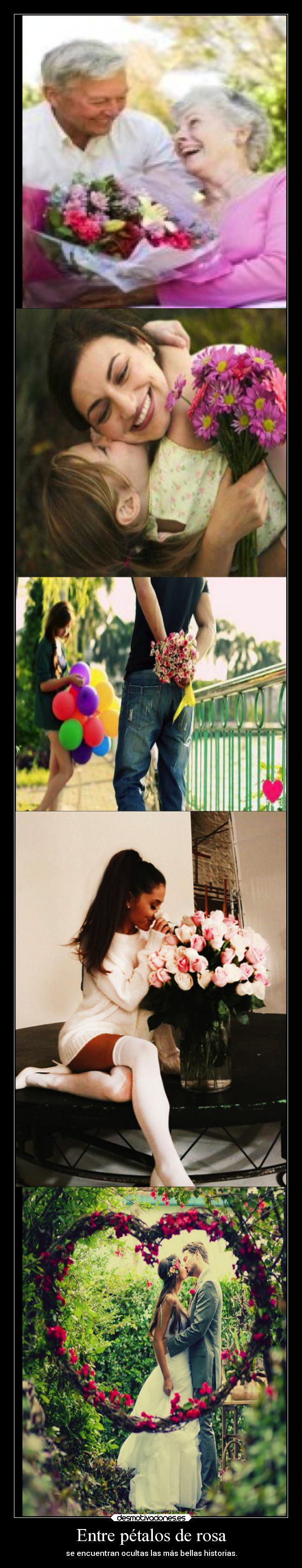 carteles felicidad amor vida sebastian656 madebysebas realidadesperdidas realidad cartelgayxd desmotivaciones