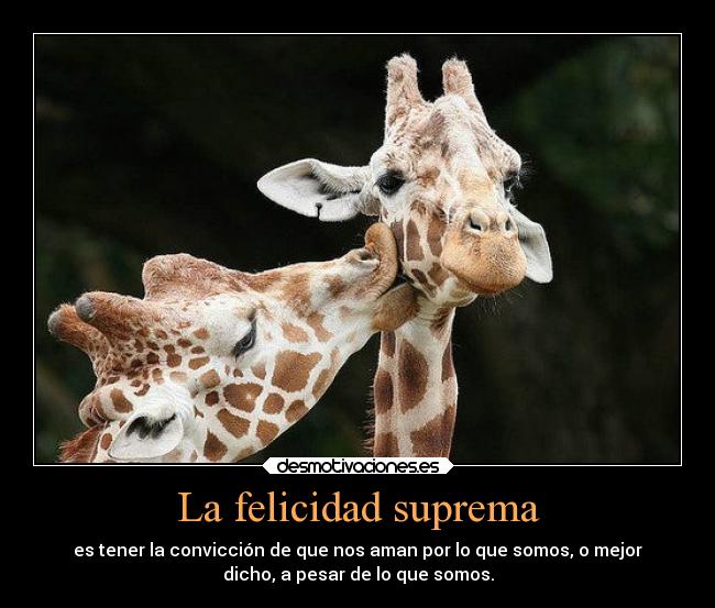 La felicidad suprema -