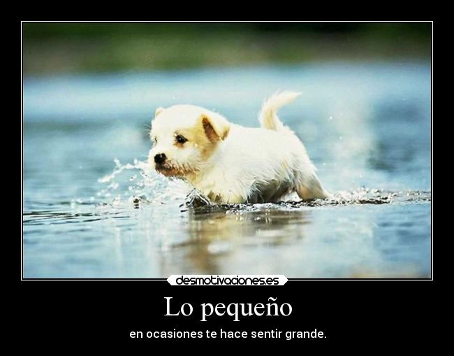 Lo pequeño - en ocasiones te hace sentir grande.