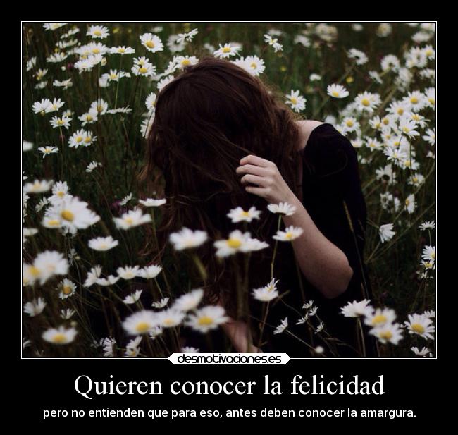 carteles felicidad felicidad vida alma whiteangel white angel amargura desmotivaciones