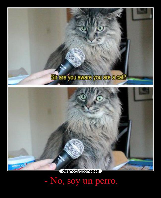 - No, soy un perro. -