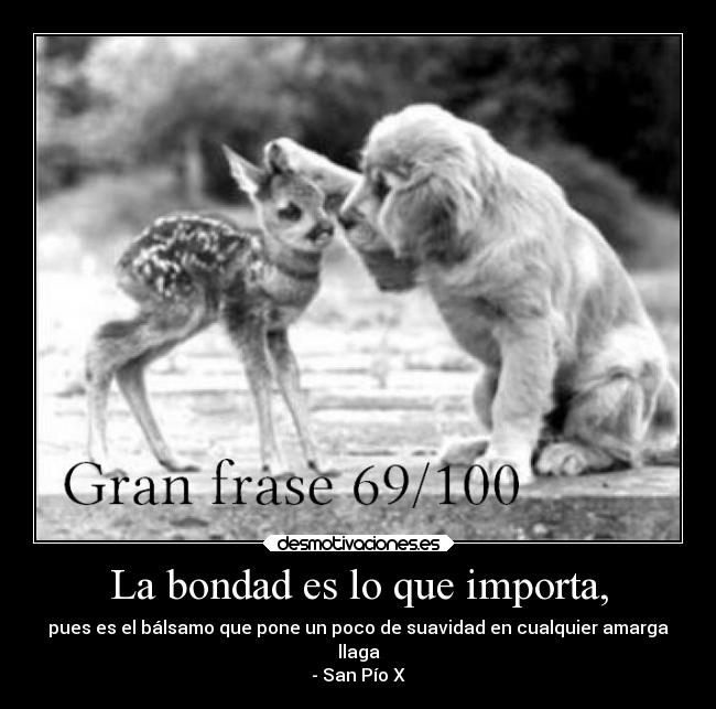 La bondad es lo que importa, - 