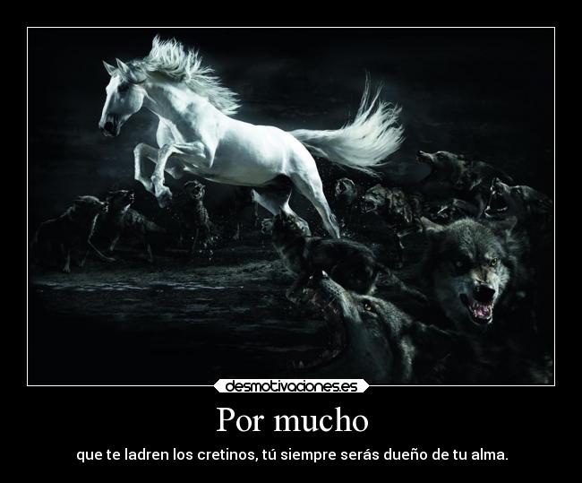 Por mucho - 