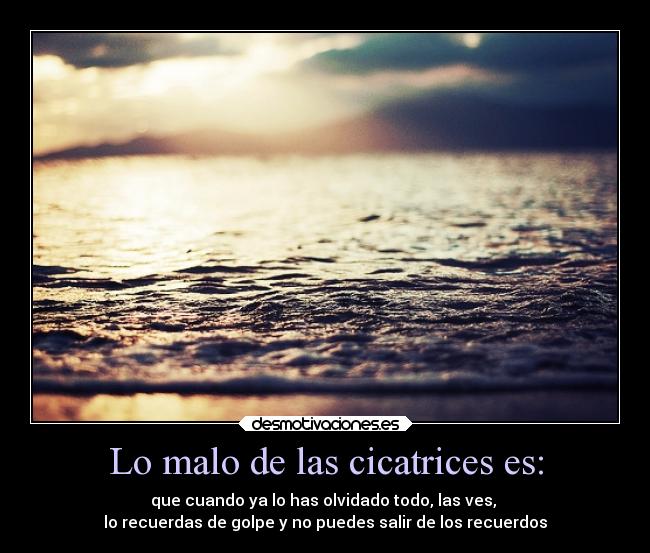 Lo malo de las cicatrices es: - que cuando ya lo has olvidado todo, las ves,
lo recuerdas de golpe y no puedes salir de los recuerdos