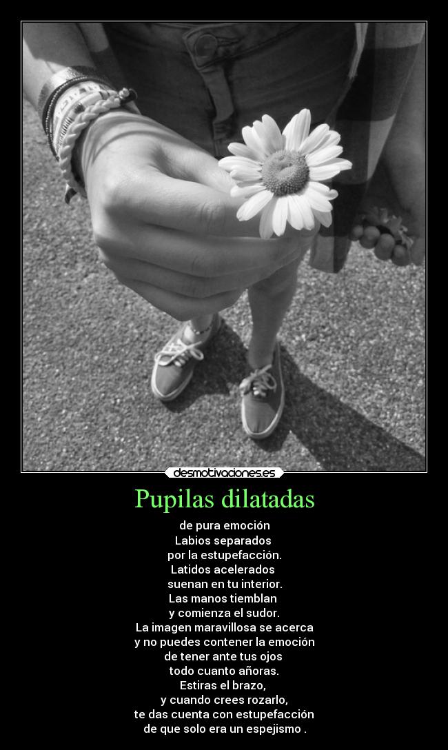 Pupilas dilatadas - de pura emoción
Labios separados
por la estupefacción.
Latidos acelerados
suenan en tu interior.
Las manos tiemblan
y comienza el sudor.
La imagen maravillosa se acerca
y no puedes contener la emoción
de tener ante tus ojos
todo cuanto añoras.
Estiras el brazo,
y cuando crees rozarlo,
te das cuenta con estupefacción
de que solo era un espejismo .
