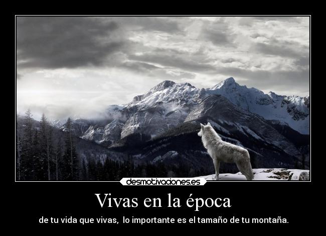 Vivas en la época - 