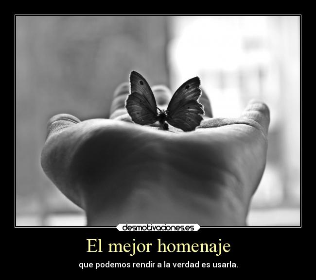 carteles frases motivaciones desmotivaciones alma vida verdad angelg1 homenaje desmotivaciones