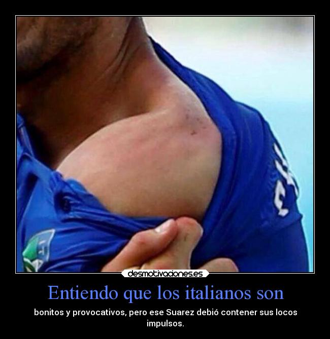 carteles futbol gatos suarezesuloquillomordelon soyunidiotatm desmotivaciones