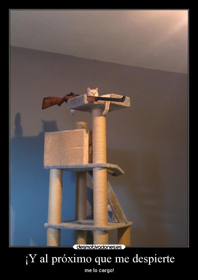 ¡Y al próximo que me despierte - me lo cargo!