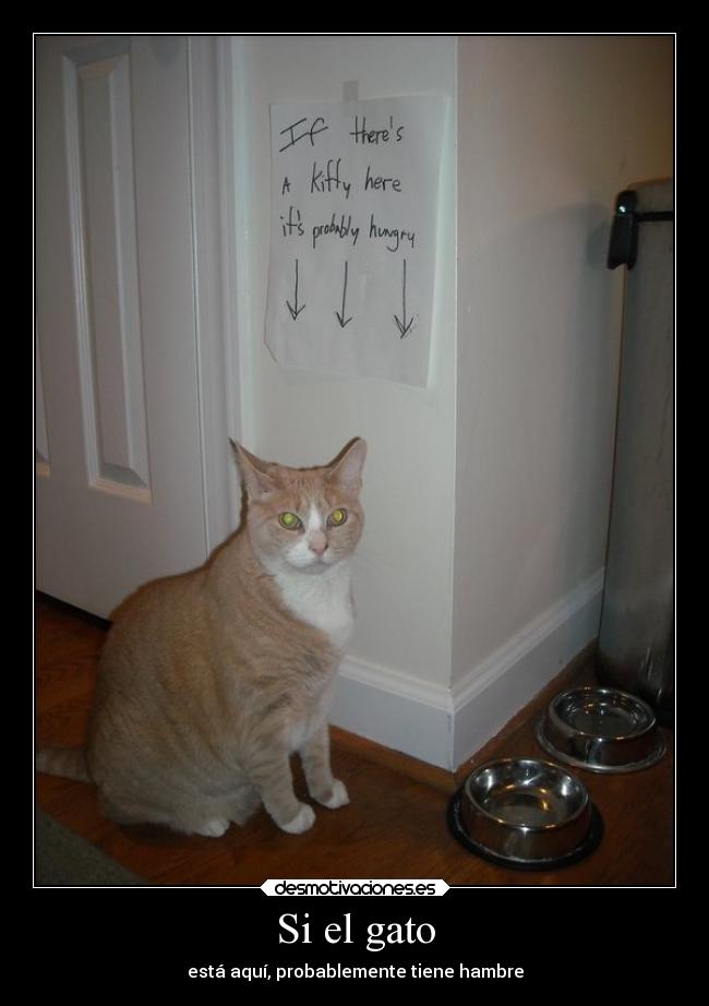 Si el gato -