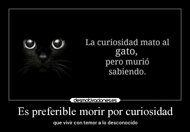 Es preferible morir por curiosidad -