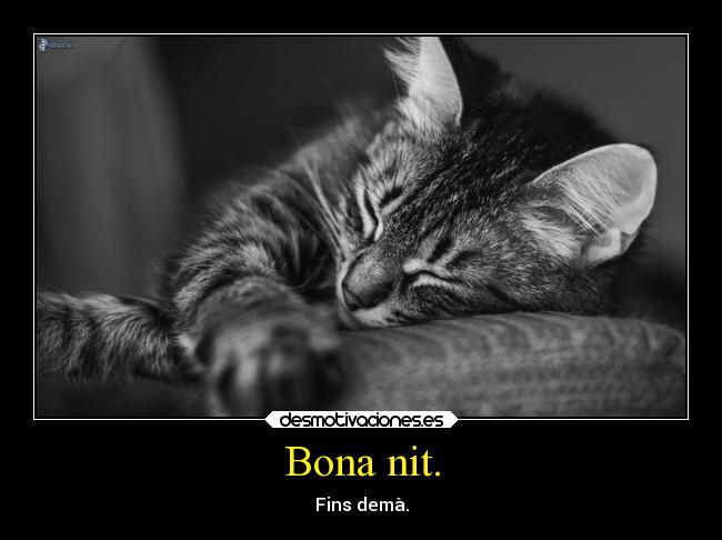 Bona nit. - Fins demà.