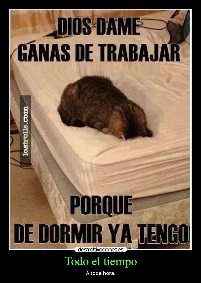 Todo el tiempo - A toda hora.