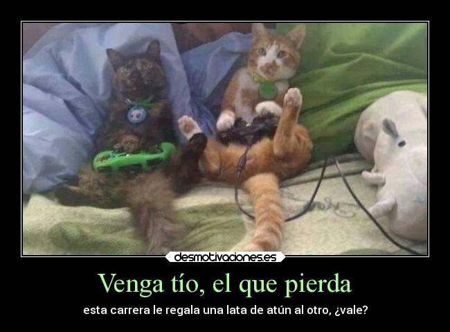 Venga tío, el que pierda - 