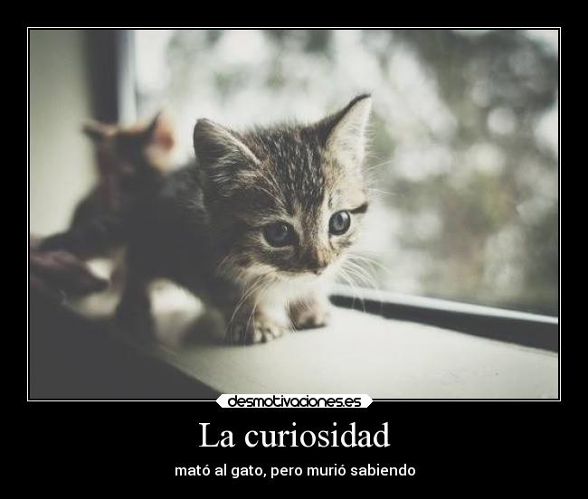 La curiosidad -