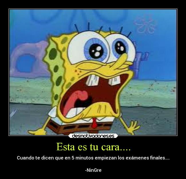 Esta es tu cara.... - Cuando te dicen que en 5 minutos empiezan los exámenes finales....
-NinGre