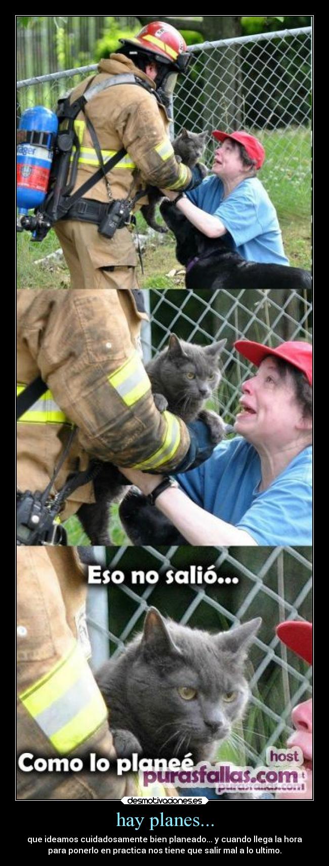 carteles graciosas gatos plan fracasado desmotivaciones