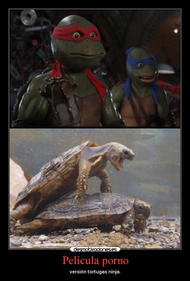 Película porno - versión tortugas ninja.