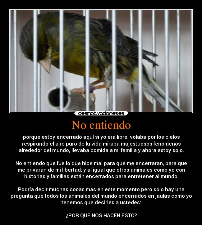 carteles historia libertad familia mundo animales vida encierro aire fenomenos prision pregunta por que desmotivaciones