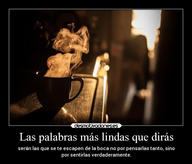 carteles historia nopuedoexplicartemas loquehagonojustificaloquepienso lotsofhopes desmotivaciones