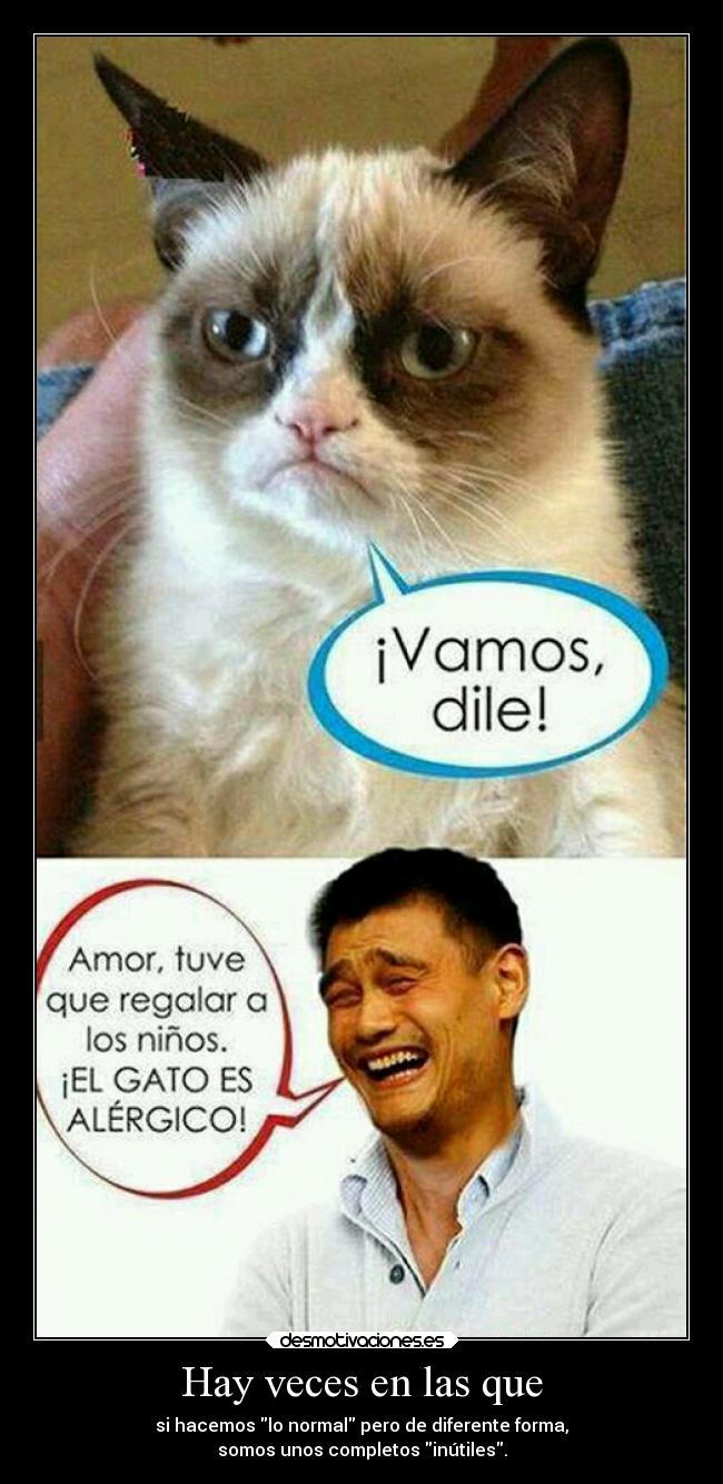 carteles humor alma davor safyh clandesplazado soyunidiotatm normal comun idiota desmotivaciones