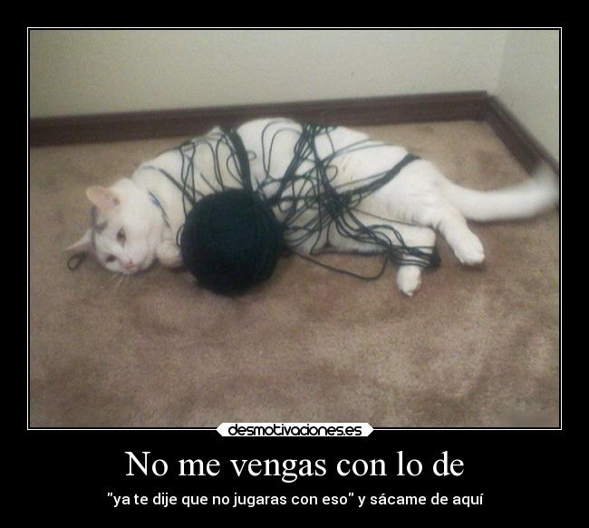 carteles humor bola lana gato jugar ovillo desmotivaciones