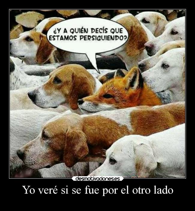 Yo veré si se fue por el otro lado -